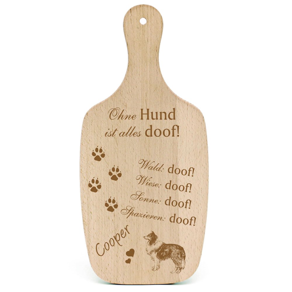DEKOLANDO Decorative Dog Sign Gift for Collie Lovers – “Everything Is Stupid…”