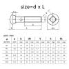 Manoud 2/5-Piece M4 M5 M6 M8 M10 M12 Steel GB12 DIN603 Truss Head Carriage Bolts for Shelves and Desks (40 mm, 5 Pieces, M10) view 2