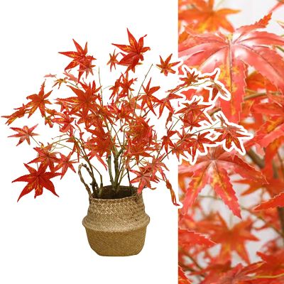 Elitix Artificial Red Japanese Maple Bonsai Tree with Planter, 60 cm