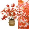 Elitix Artificial Red Japanese Maple Bonsai Tree with Planter, 60 cm view 1