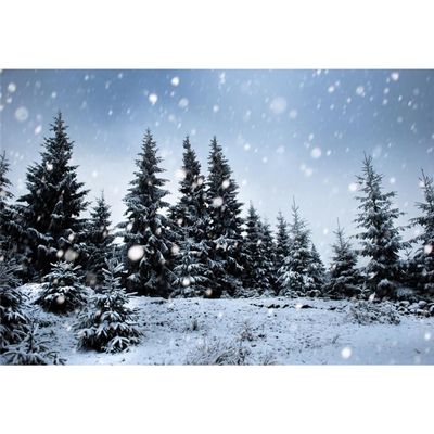 Ttincceer Winter Snow Forest Photography Backdrop, 1.5 x 1 m