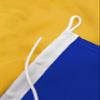 FLAGLY Premium Carinthia Boat Flag 40 x 60 cm - 115 g/m² Fabric Weight - Printed, Durable, with Cord & Loop, Motorboat Accessory view 3