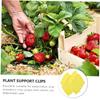 KONTONTY 100 Plant Support Clips, PP Fork Clips view 3