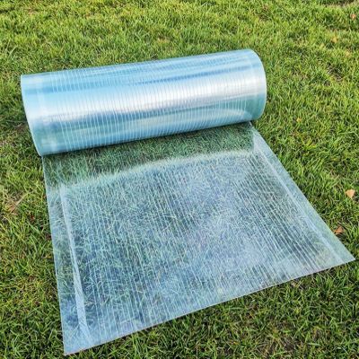Weather-Resistant Outdoor Roof Panels, 0.8 mm Transparent Polycarbonate, 1.2 x 2 m