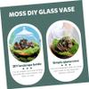 Glass Micro-Landscape Bottle Set with Lid for Home Decor view 2