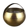 ENSDIEPLS Stainless Steel Ice Bucket with Carry Handle, 2 L, Gold view 1
