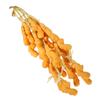 ULDIGI 5-Piece Hanging Fake Ginger Decorations and Photo Props for Classes and Events view 1