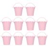 Jwthee 10-Pack Mini Silver Metal Planter Buckets with Handles, 4 × 5.5 × 6 cm view 1