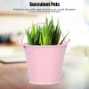 Jwthee 10-Pack Mini Silver Metal Planter Buckets with Handles, 4 × 5.5 × 6 cm view 2