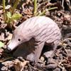 Wudimals 40732 Wild Animal Echidna, Hand-Carved and Painted Wood, 9 x 5 x 3 cm view 2