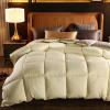 XFQZJG King/Single Duvet, Baby Blanket, Warm Ultra-Soft Quilt view 1