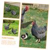 Parliky 3-Piece Decorative Acrylic Chicken Garden Stakes, Durable and Sturdy view 4