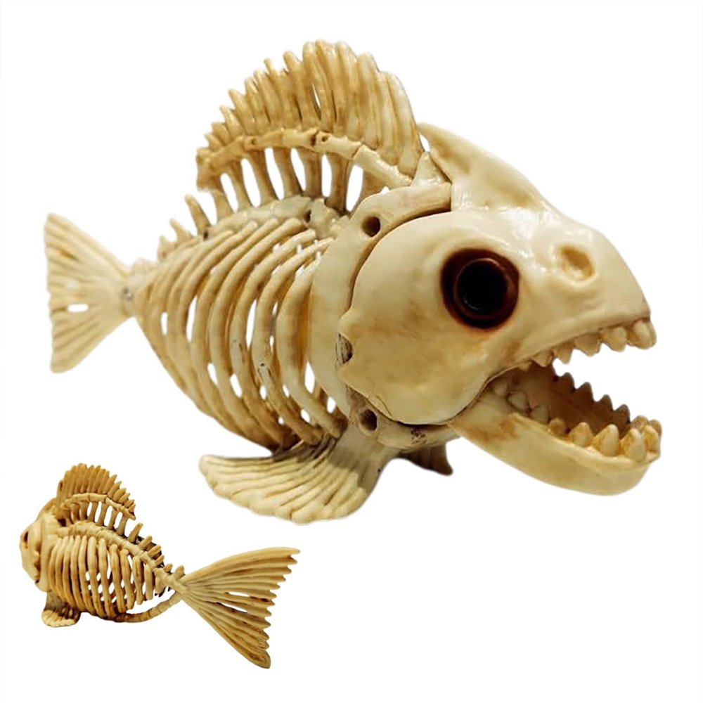 Opilroyn Fish Skeleton Model, Skull Fish Skeleton | Animal Carp Skull