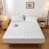 Zippered Mattress Cover Encasing, Breathable Washable Mattress Protector Fitted Sheet, 150 x 200 + 10 cm, White view 2