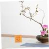 Sewroro Desk Calendar Monthly Planner, Year of the Snake, for Home Office, July to December view 4