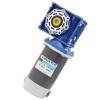 12V/24V 300W DC Geared Motor, Double Reduction, Adjustable Speed, Reversible Worm Motor, 1 Piece view 2