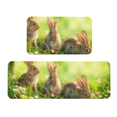 Funny Rabbit-Printed Crystal Velvet Kitchen Mats, Set of 2