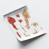 AnatomyStuff Shoulder and Elbow Anatomy Poster, 45 x 60 cm, Upper Limb Diagram, Joint Anatomy view 3