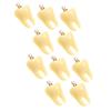 VILLFUL 5 Sets of Fake Tooth Charms, Decorative Jewelry Charms, 10 Pieces × 5 view 3
