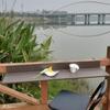 Hanging Balcony Table, Folding Aluminum-Frame Outdoor Table, Height-Adjustable Railing Table, Folding Standing Table for Patios (Size: 37 x 120 cm) (27 x 120 cm) view 3
