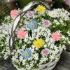 SVCEQZE 20-Pack Colorful Decorative Flower Stakes, 30 cm, Metal, Handmade, Polished, Ground-Mount, Spot-Clean, Country Style view 2