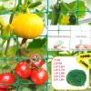 QAUUCP Cucumber Trellis Net, Durable Nylon Plant Climbing Net for Outdoor Use, 1.8 x 2.7 m, 18 Strands view 2