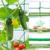 QAUUCP Cucumber Trellis Net, Durable Nylon Plant Climbing Net for Outdoor Use, 1.8 x 2.7 m, 18 Strands view 3