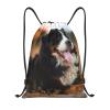 YWSOTRE Bernese Mountain Dog Drawstring Backpack, Unisex, M view 1
