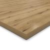 AUPROTEC 19 mm Oak Evoke Coast Decorative Panel, 130 x 100 cm, ABS Edges on All Sides view 1