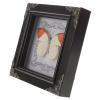 Real Butterfly Frame, Vintage European Style view 1
