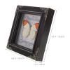 Real Butterfly Frame, Vintage European Style view 2