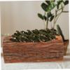 Parliky Brown Wooden Flower Pot for Succulents and Vegetables, Outdoor view 2