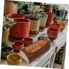 Parliky Brown Wooden Flower Pot for Succulents and Vegetables, Outdoor view 3