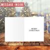 Christmas Cards in Box, 30 Count, 6 Unique Cat Designs, 2025 view 3