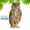 Expel Birds Decorative Owl Bird-Deterrent Hanging Ornament view 1