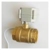 Motorized 2-Way Brass Ball Valve, 1-1/4 in, Normally Closed, DN32 BSP, AC 110–230 V view 4