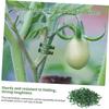 KITANDOVE 200 PP Plant Clips for Stems and Supports view 3