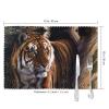 Bengal Tiger Printed Heat-Resistant Placemats, 6-Piece Set view 3