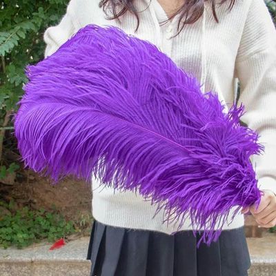 VGHJYNM 10 Large White Ostrich Feathers, 15–55 cm, for Party and Carnival Decorations, DIY Supplies, Purple, 50–55 cm, 20–22 in