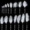 VGHJYNM 10 Large White Ostrich Feathers, 15–55 cm, for Party and Carnival Decorations, DIY Supplies, Purple, 50–55 cm, 20–22 in view 2