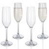 Melamine Camping Dinnerware Set for 4, Lemon Grass Design + 4 Tiamo Champagne Flutes view 3