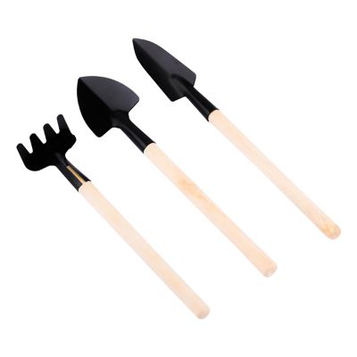 WEITING Indoor Succulent Garden Tool Set with Wooden Handles