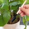 WEITING Indoor Succulent Garden Tool Set with Wooden Handles view 2