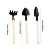 WEITING Indoor Succulent Garden Tool Set with Wooden Handles view 4