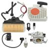 Rynplex Ignition Coil, Spark Plug, Air Filter, Carburetor Kit, Oil Circuit and Recoil Starter Replacement Parts for Garden Ignition Systems view 1