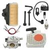 Rynplex Ignition Coil, Spark Plug, Air Filter, Carburetor Kit, Oil Circuit and Recoil Starter Replacement Parts for Garden Ignition Systems view 2