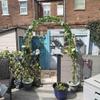 Metal Garden Arch Trellis, 1.2 × 3.5 m, Weather-Resistant Rose Arch view 3