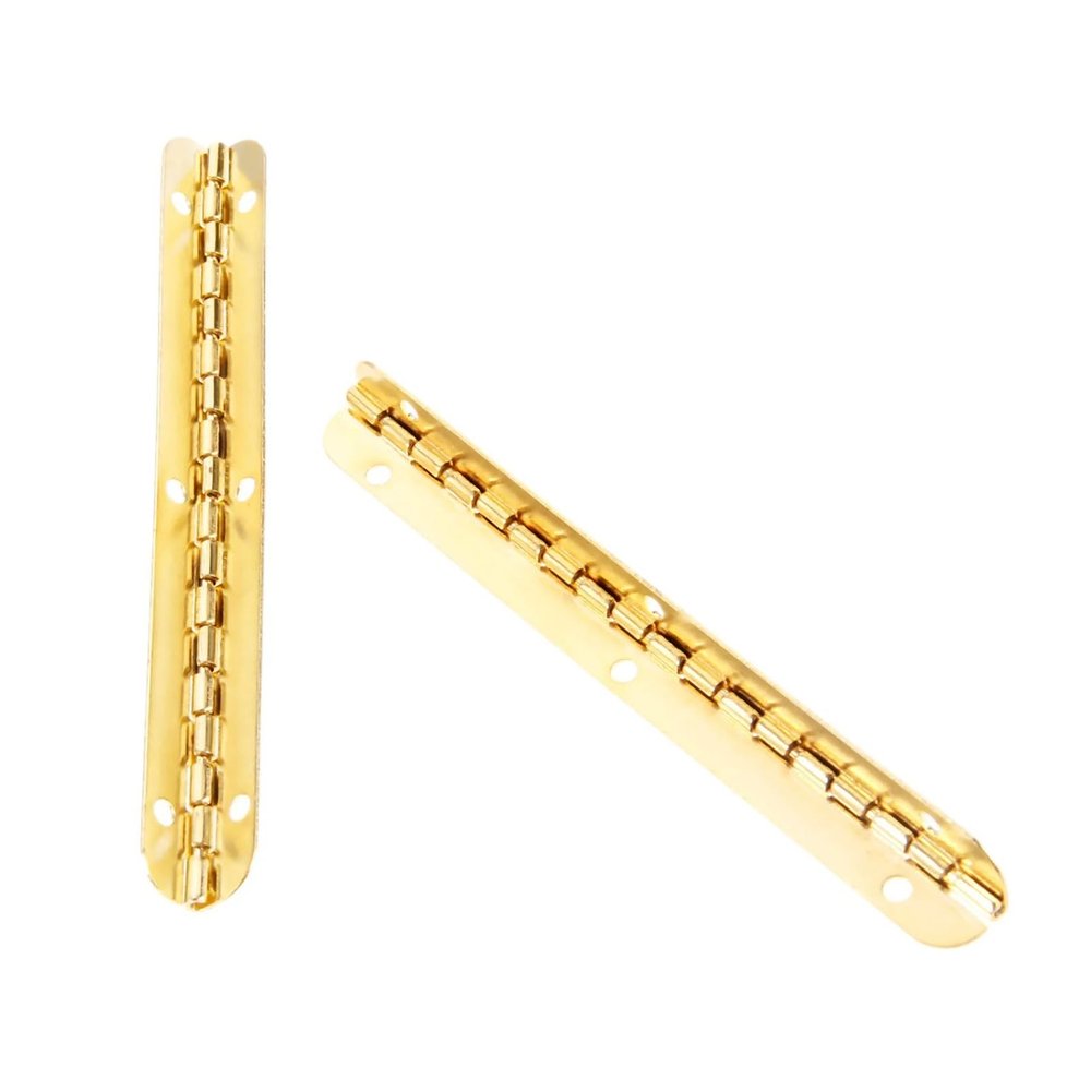 BSAXITHZB 2-Pack Gold Metal Hinges, 100 m x 9 mm, Mini Long Gold Hinges, Cabinet Hardware for Cabinets and Wooden Boxes, Antique Retro
