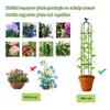 Garden Obelisk Trellis, Metal Plant Support for Climbing Plants view 3