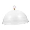 PAMINGONO Transparent Acrylic Cake Dome with Handle view 1